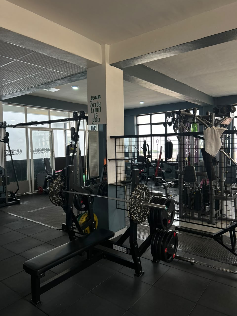 Bench and squat rack