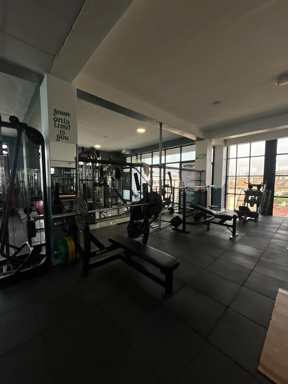 Free weights and dumbbell rack at Apollo Fitness